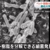 ペットボトルなどの素材を分解する細菌発見 慶大などグループ NHK NEWS WEBより 2016年3月11日