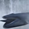 クジラがサメを丸のみ！？　シャークネード4　「フォースの覚醒」 日本語版予告公開