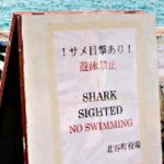 サメ捕獲作業は１３日以降　沖縄　