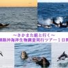 さかまた組と行く～釧路沖海洋生物調査同行ツアー１日間　2016年10月28・29・30日実施