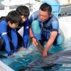 小学校5・6年生対象　水族館でトレーナーの職業体験にチャレンジ　鴨川シーワールド
