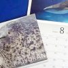 2017年版 海遊館オリジナルカレンダーを100名様にプレゼント　大阪 海遊館